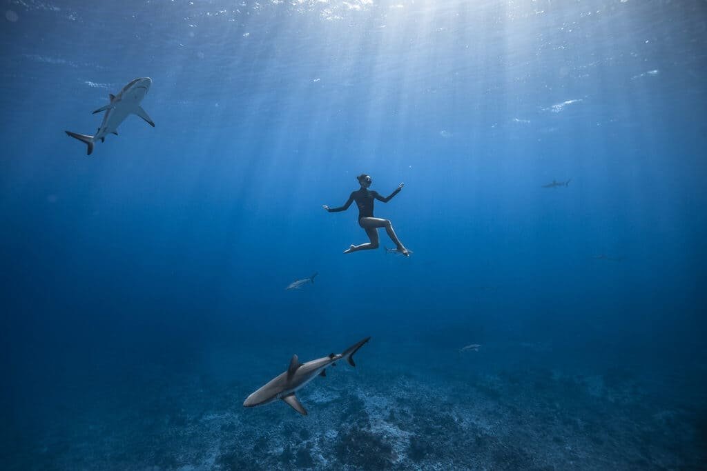 Photogramme Aquaballet