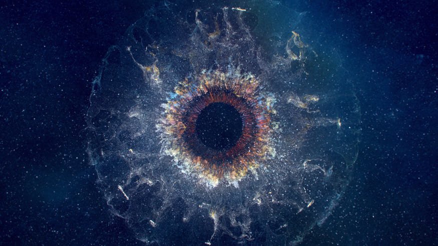 Iris - Rémi Devouassoud